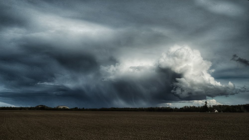 Photograph by Ольга Линк