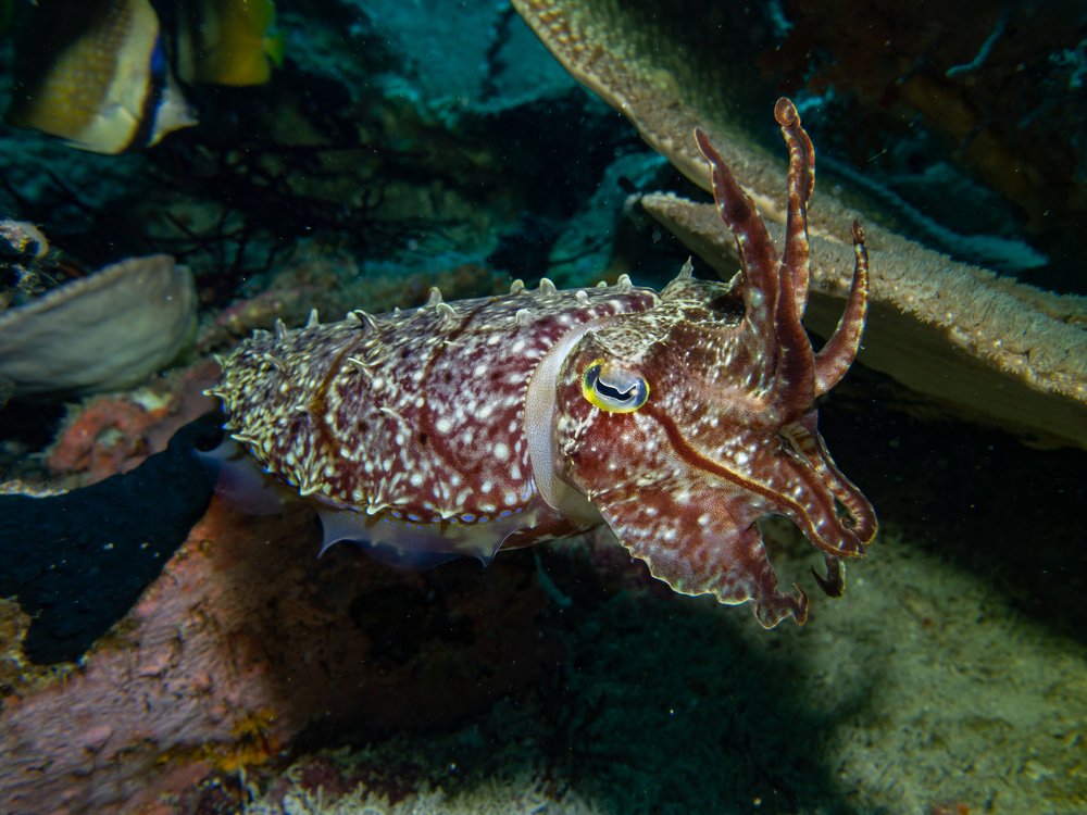 Photograph by Галина Михоношина