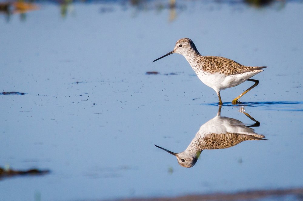 Photograph by Артем