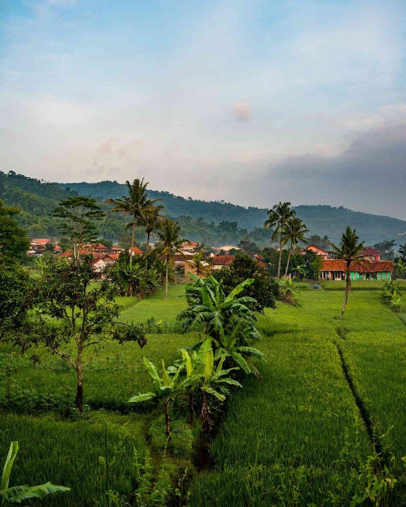 Photograph by Alif Fachrudin