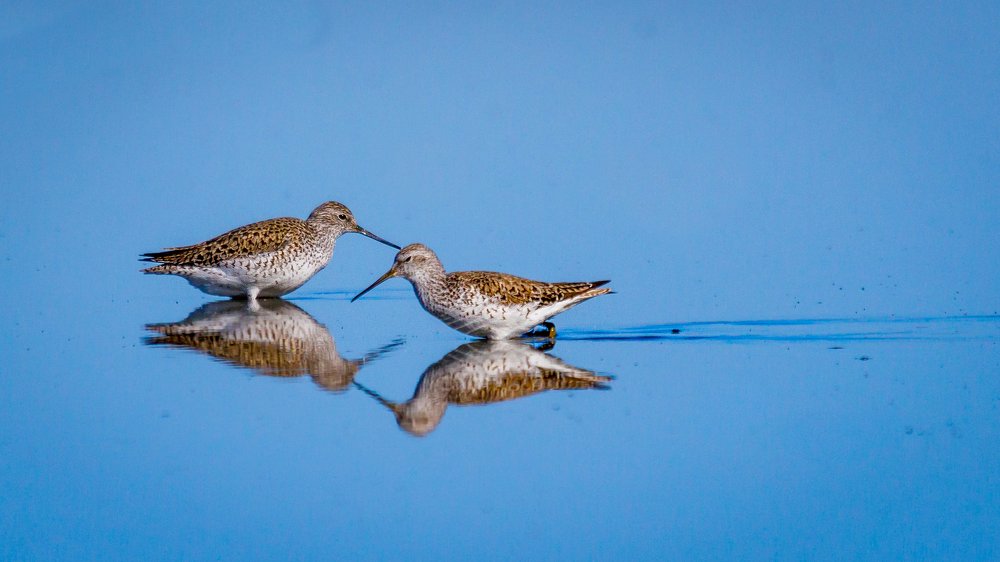 Photograph by Артем