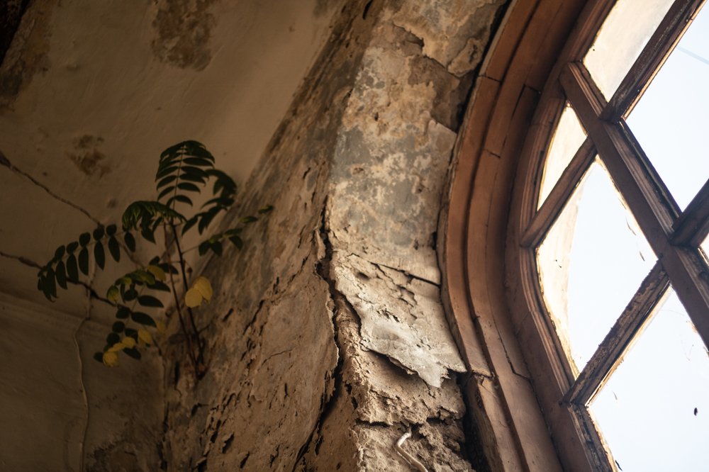 Photograph by Наталья Радионова