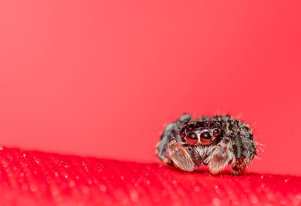 Glances to fall in love/miradas que enamoran