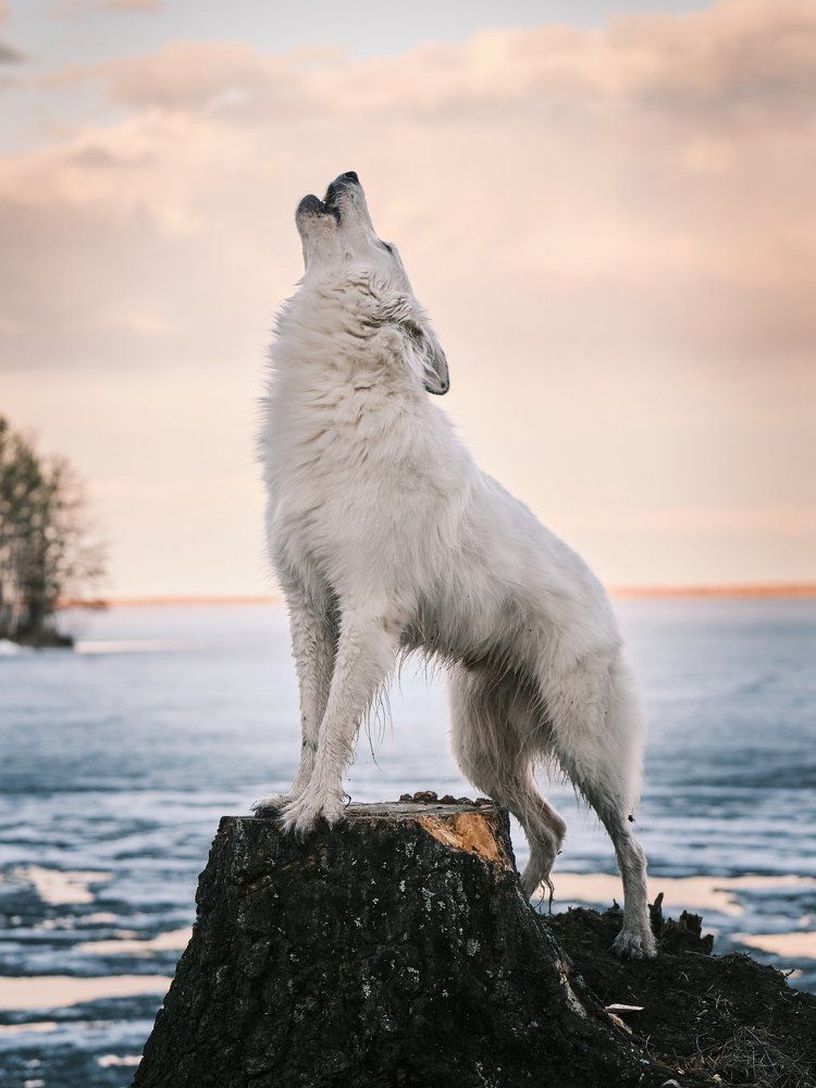 Photograph by Екатерина