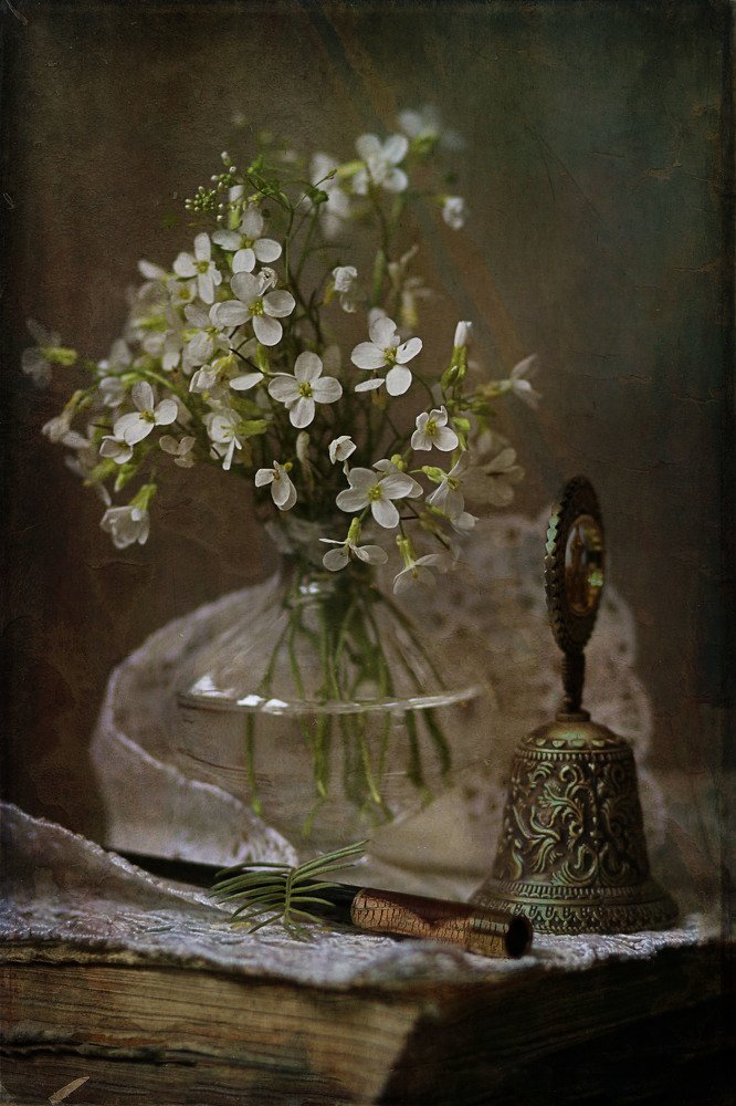 Photograph by Светлана Дерябина