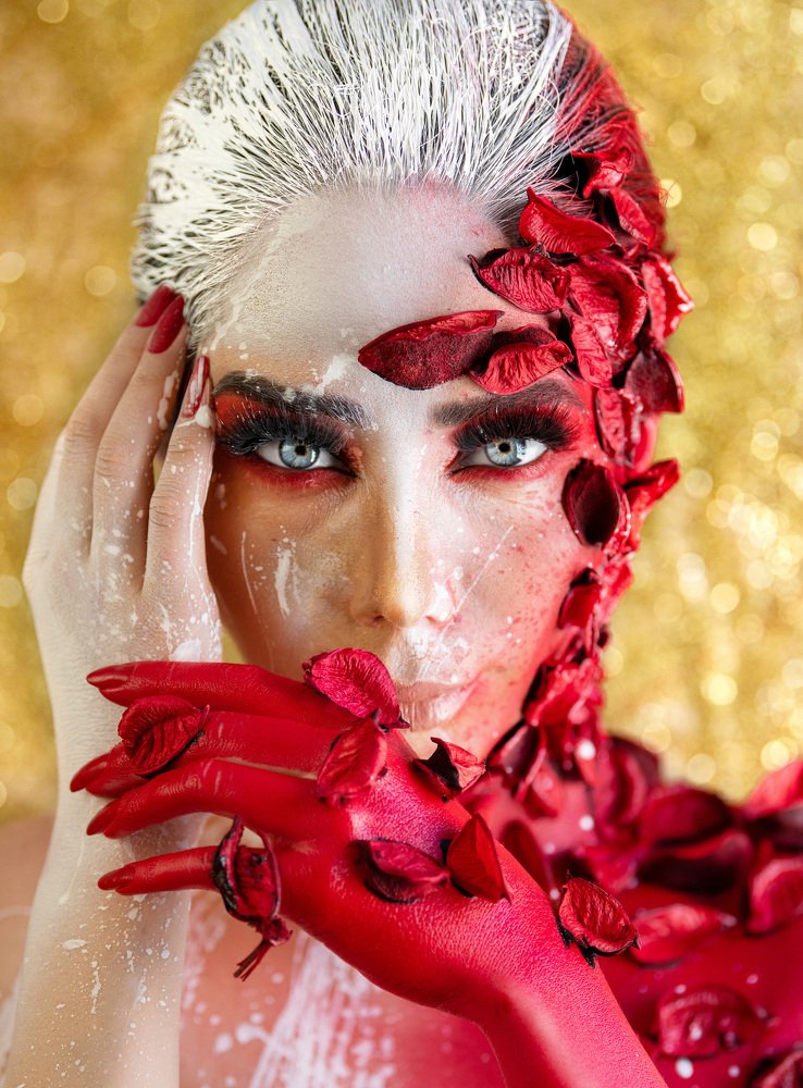 Фотография автора Ibrahim Jalal