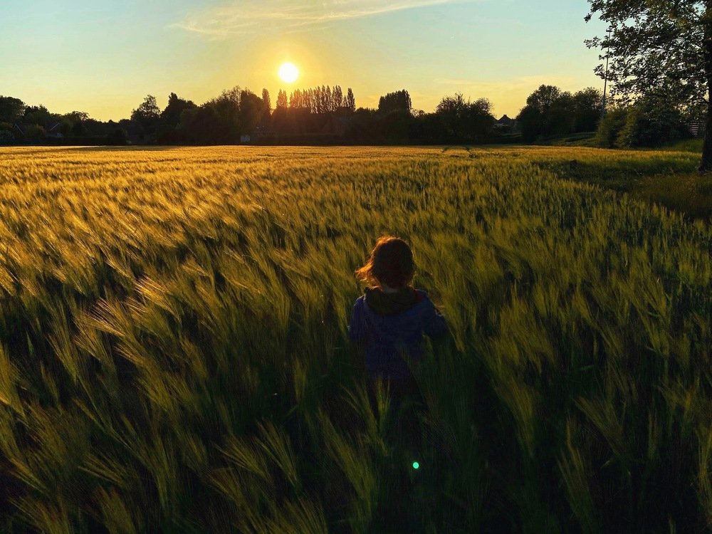 Навстречу солнцу