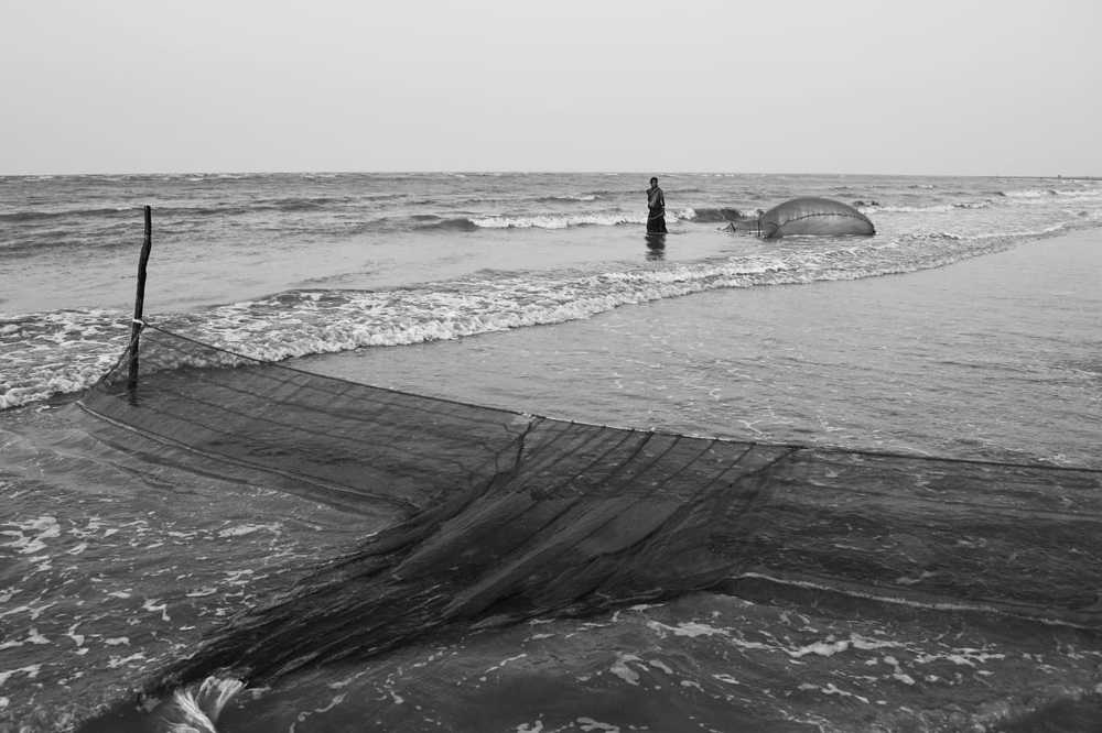 COLLECTION TIME....ii