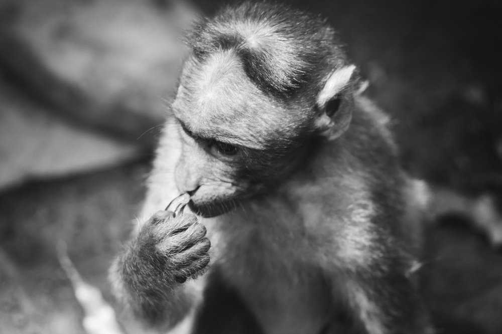 Коренные жители Гоа