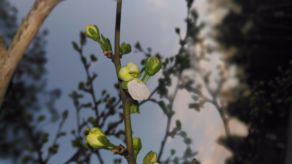 Фотография автора Наталья Сероглазова