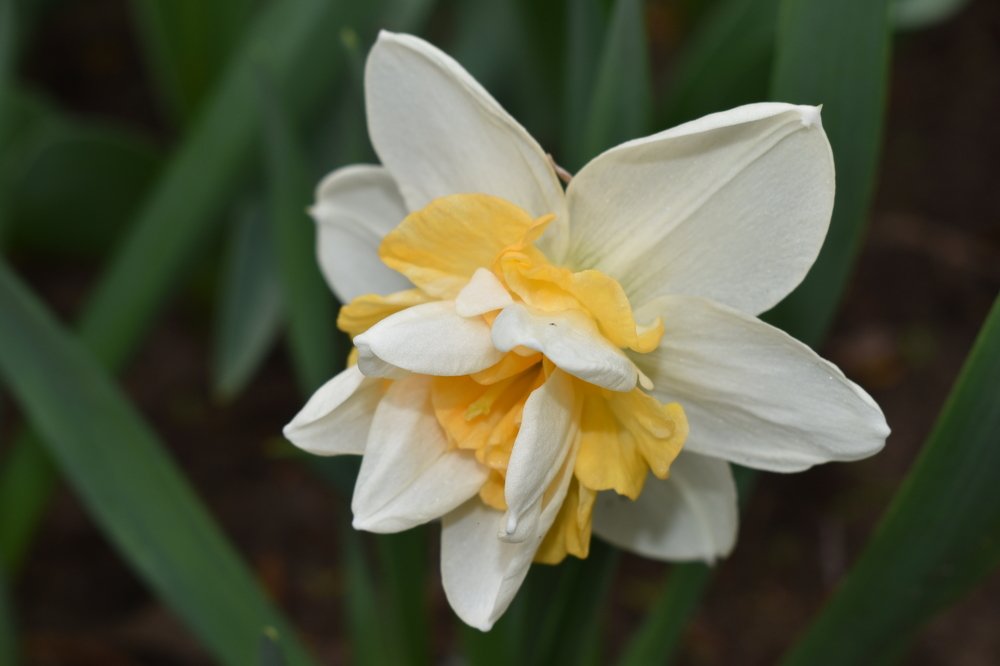 Фотография автора Наталья Сероглазова