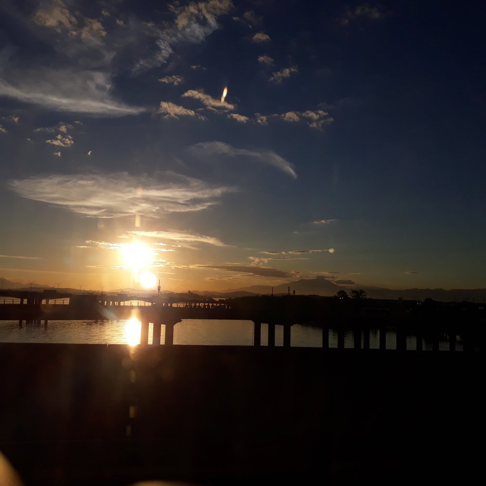 Photo #4598174