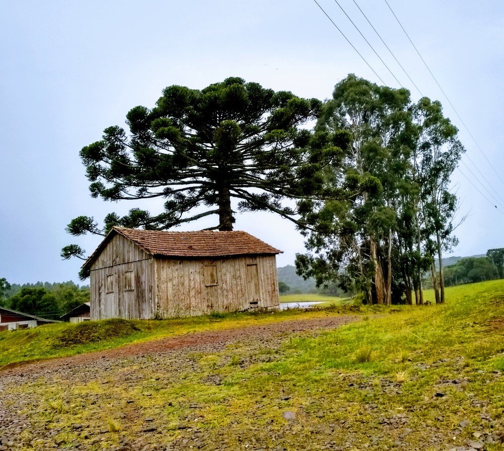 Photo #4598231