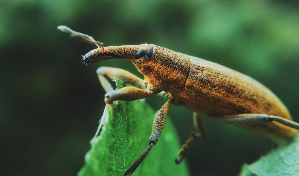 Photograph by Анатолий Жуков