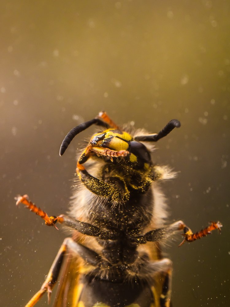 Photograph by Sergey