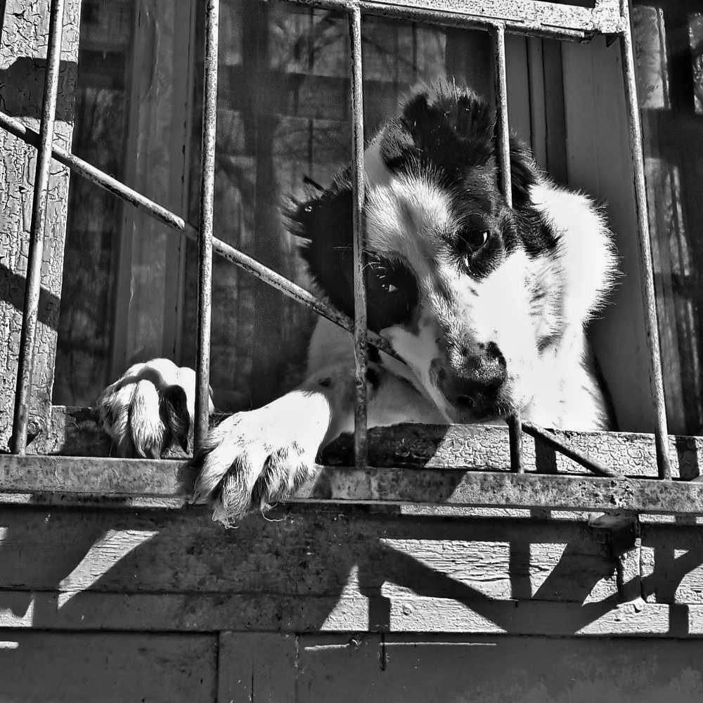 Прогулка на балконе.