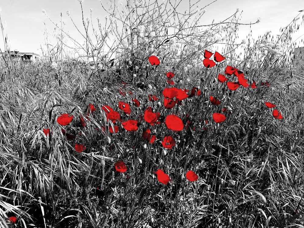 Photograph by Leo Stefanidis