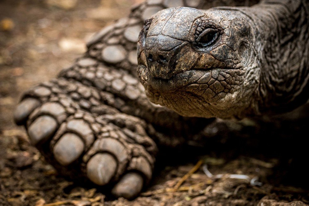 Photograph by Dmitry Skatov