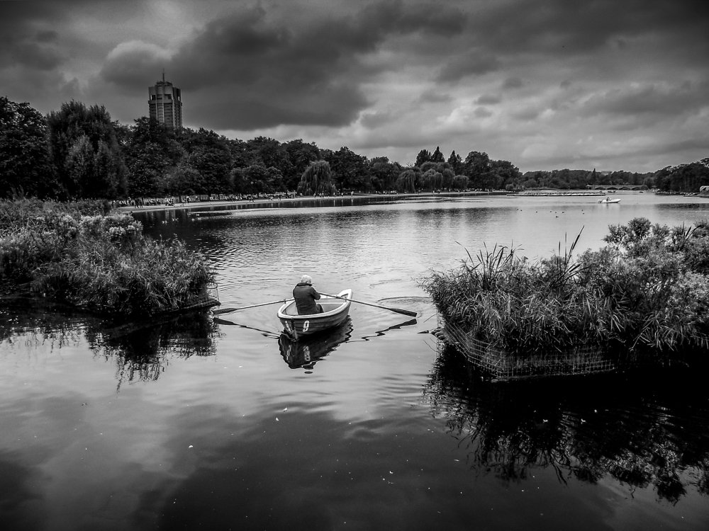 The Old Man and the Lake