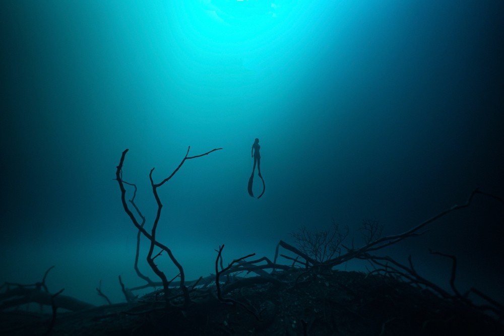 Photograph by OceanicVibes