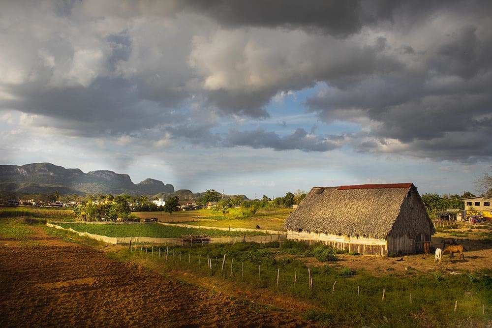 Photograph by Geraldine Michell