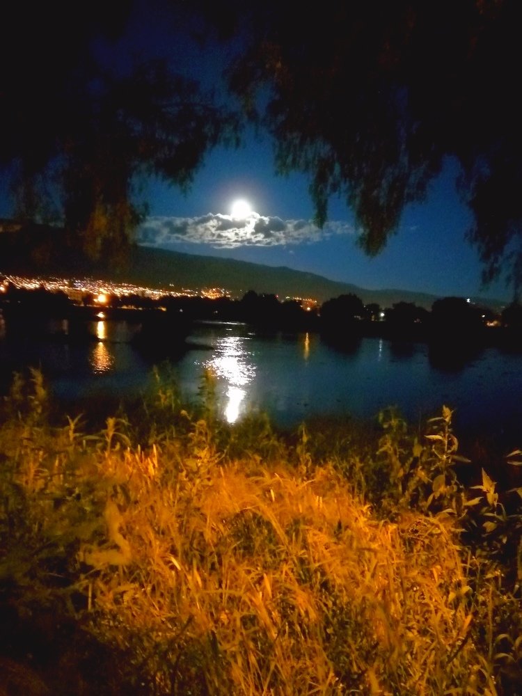 Photo #4598772