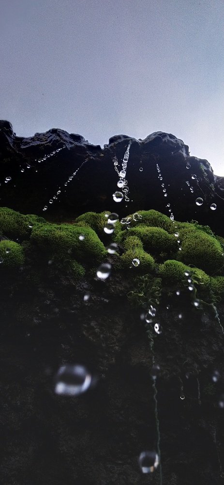 Фотография автора GOPALA KRISHNAN S