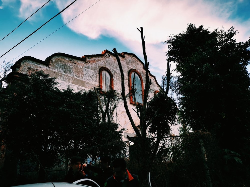 Photo #4598835