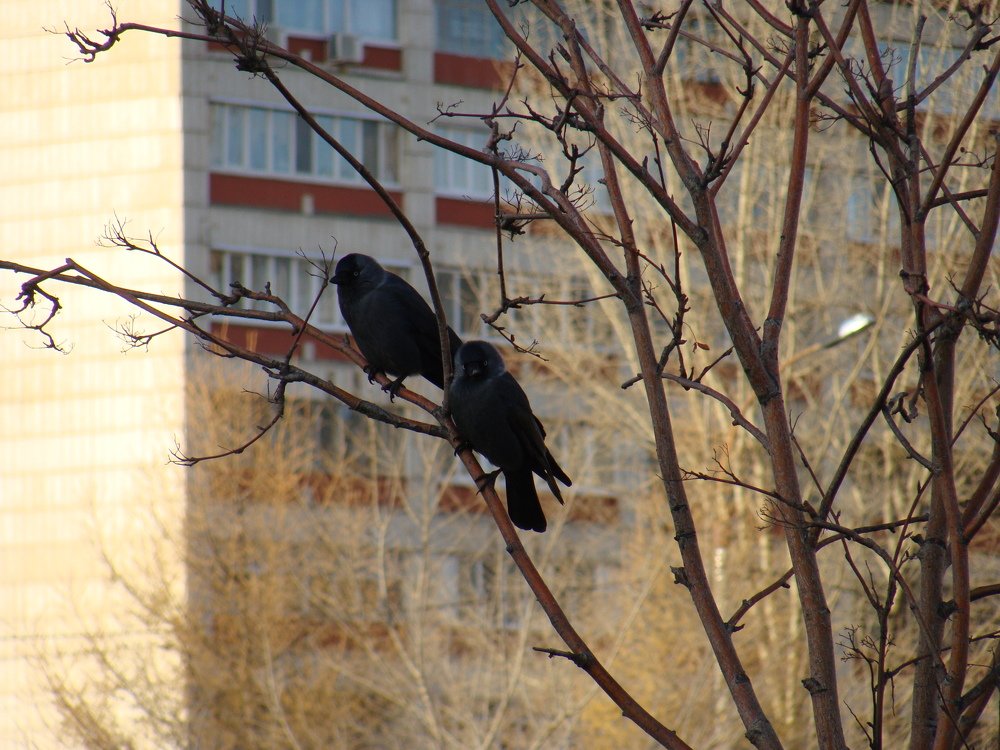 Photograph by olga Diakova