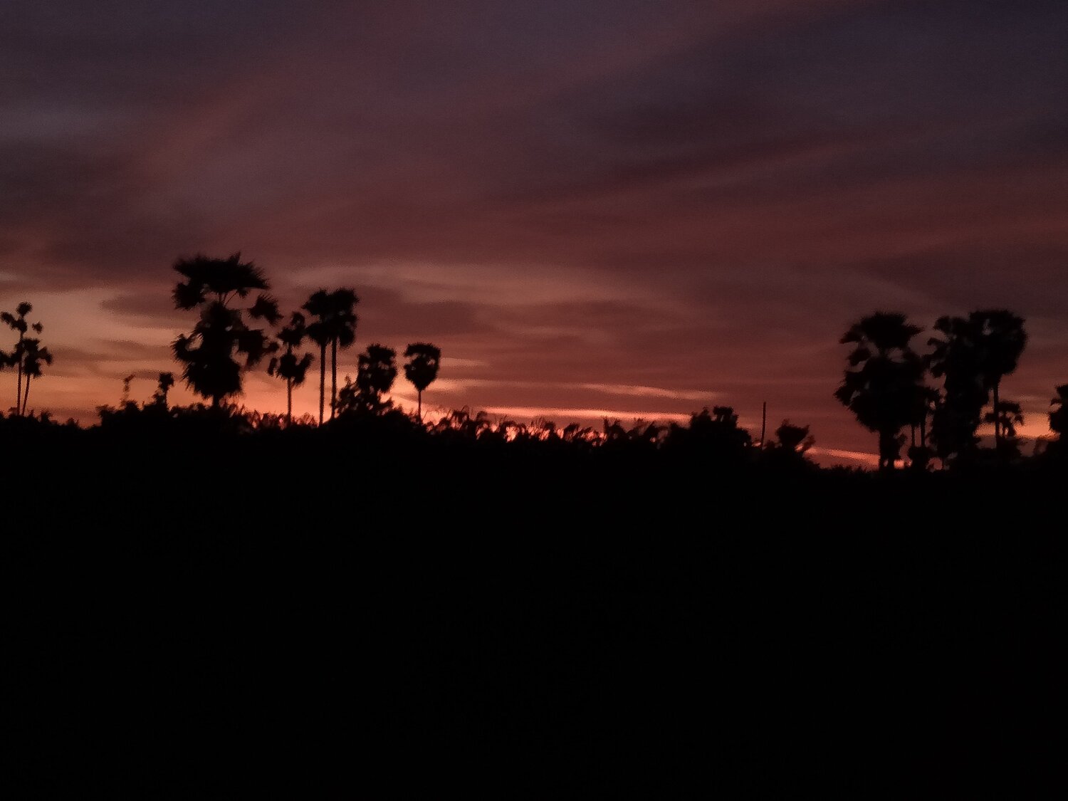 Photo #4598907