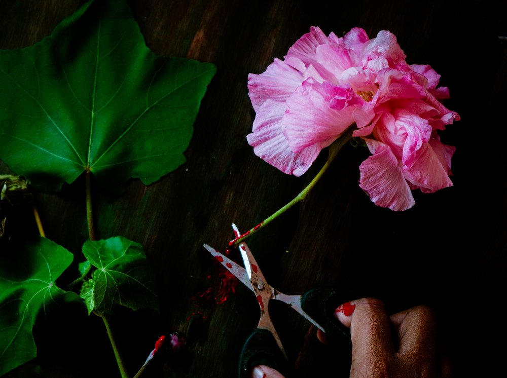 They also want to live