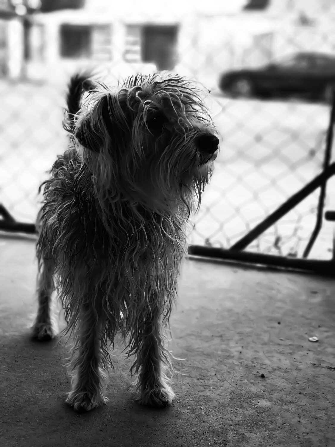 Photo #4598980