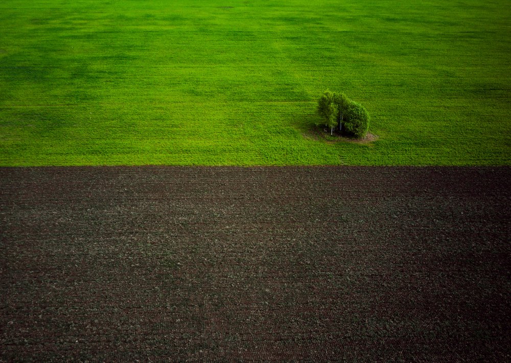 Весенний минимализм