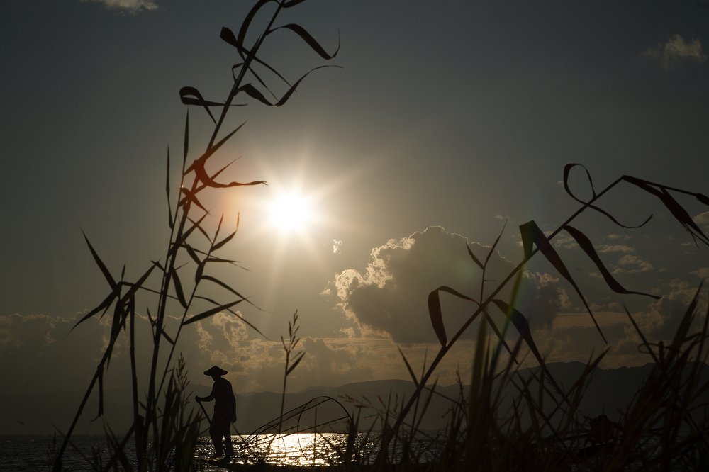 Photograph by Наталия Шибаева