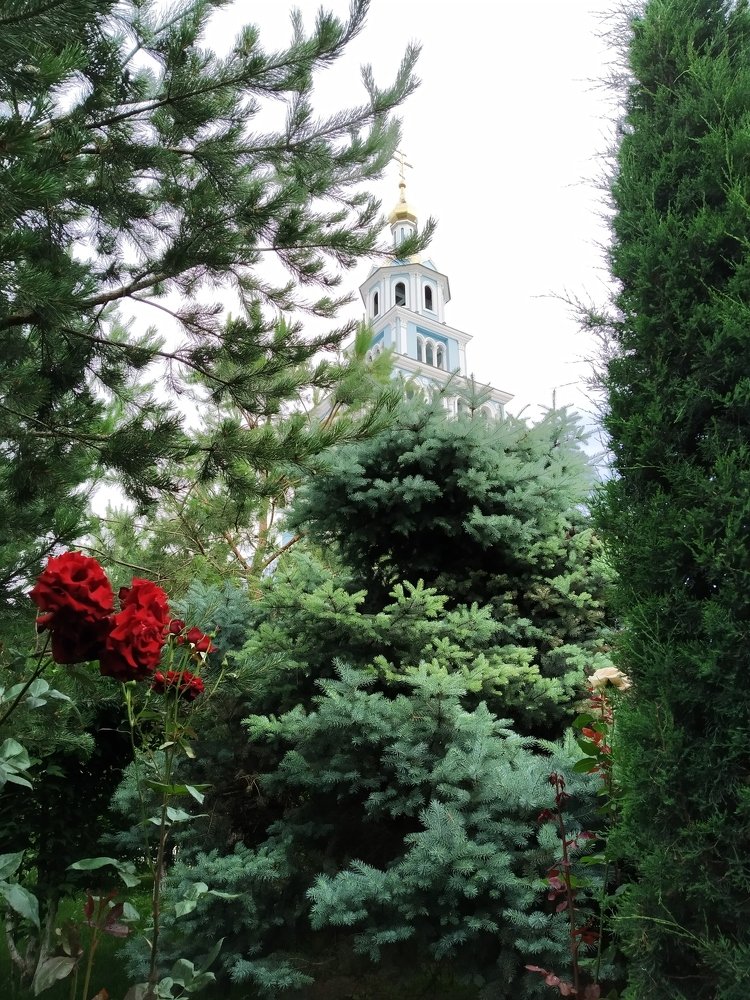 Всё знакомо