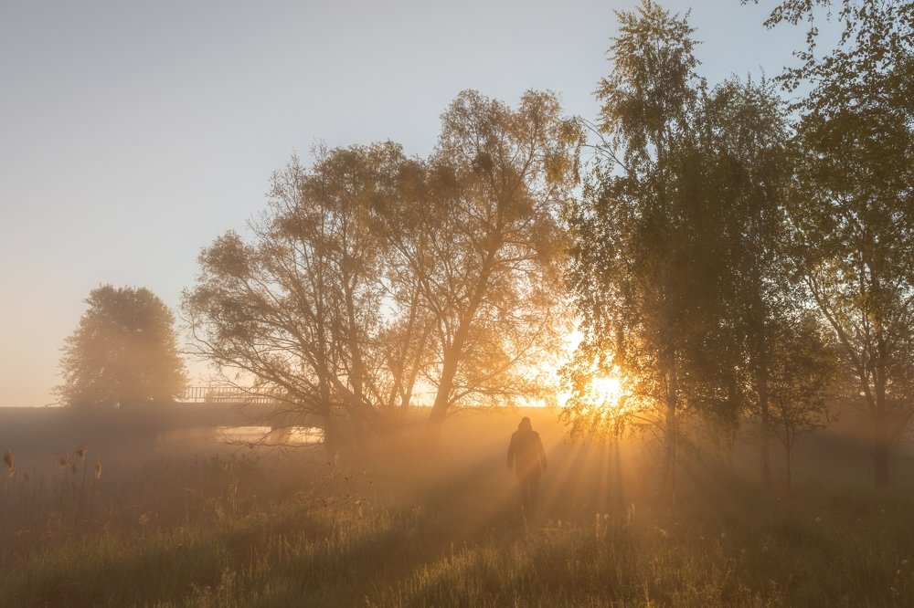 На встречу Солнцу