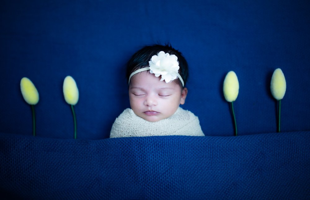 Photograph by SHASHI PATEL