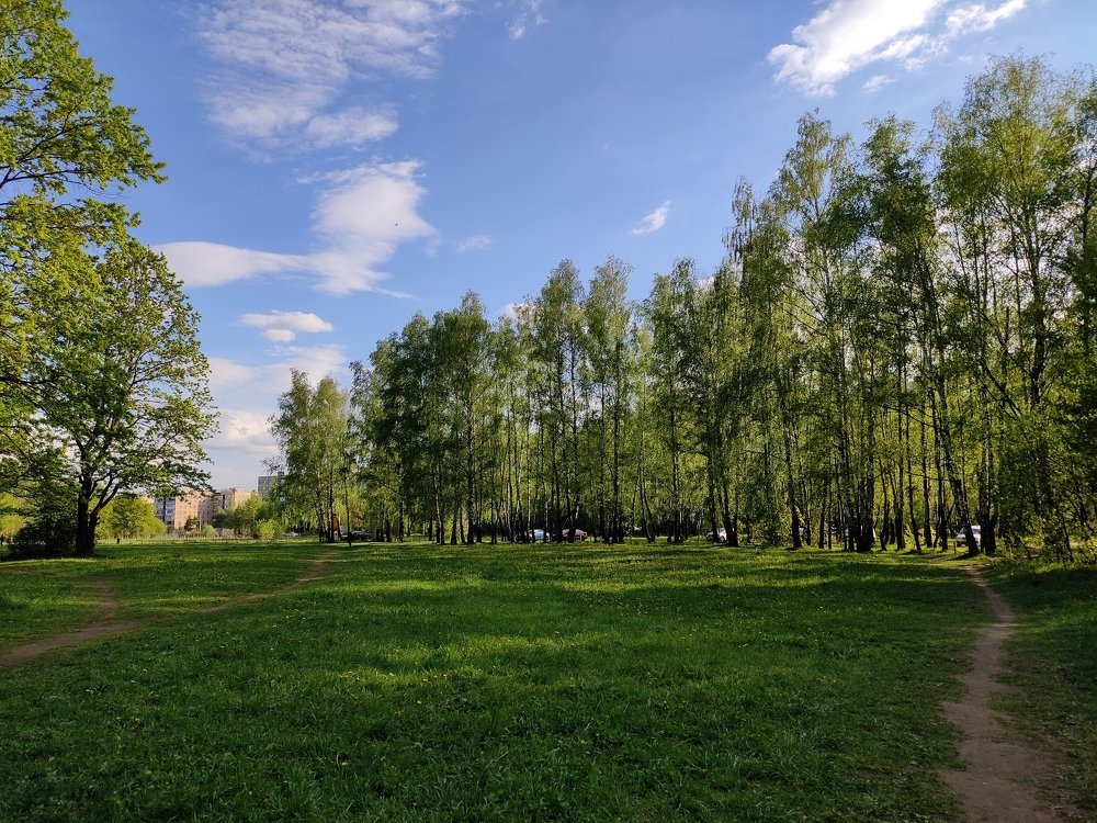 Photo #4599590