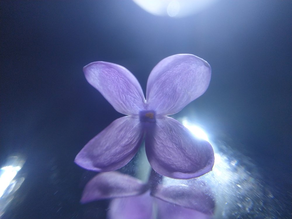 Photograph by Павел Агапов