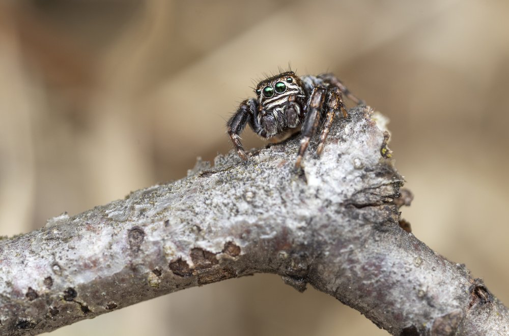 Photograph by Глеб Коровко