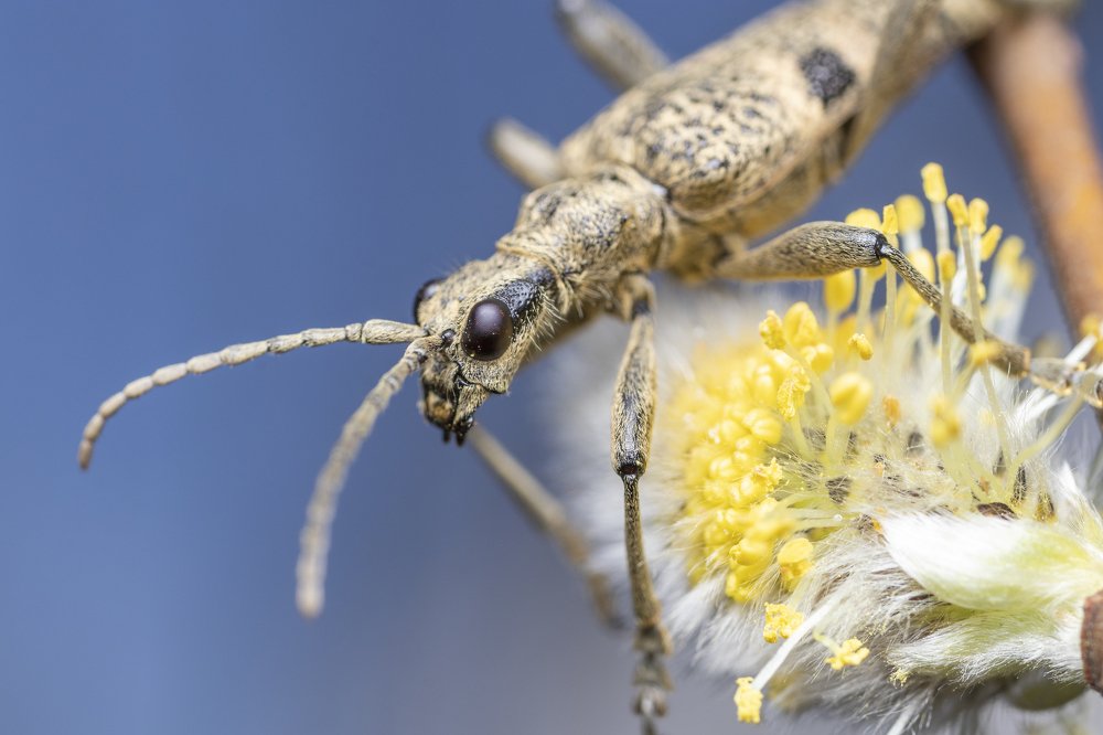Photograph by Глеб Коровко