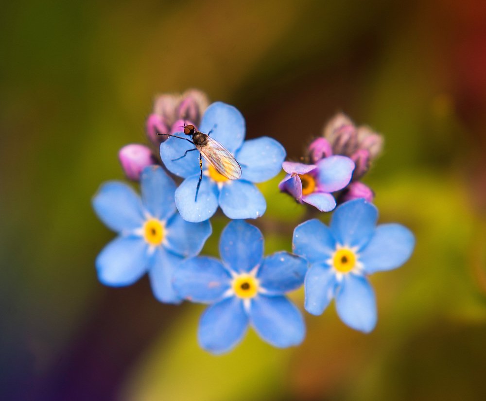 Photograph by Ирина