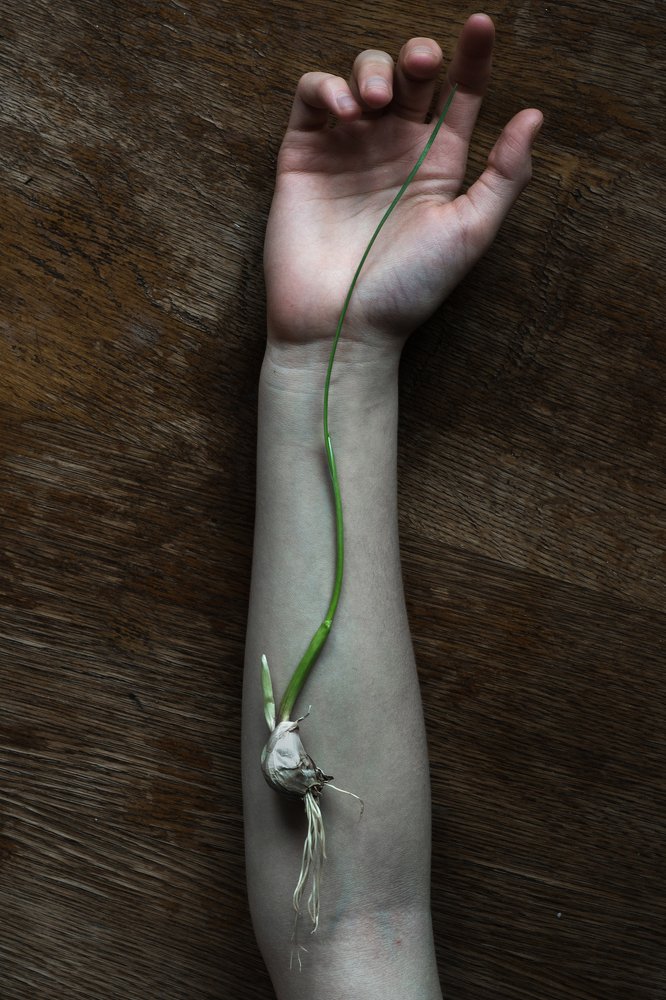 Photograph by Соша Грухина