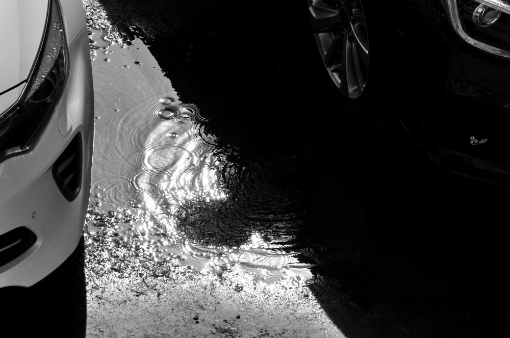 Чёрно-белое