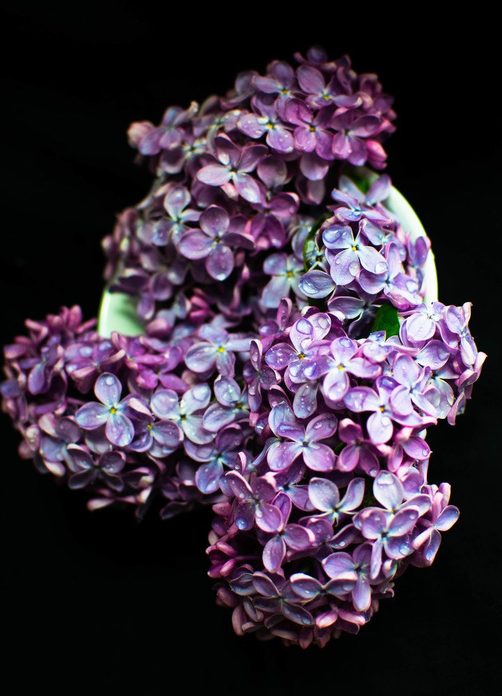 Сиреневое умиротворение...