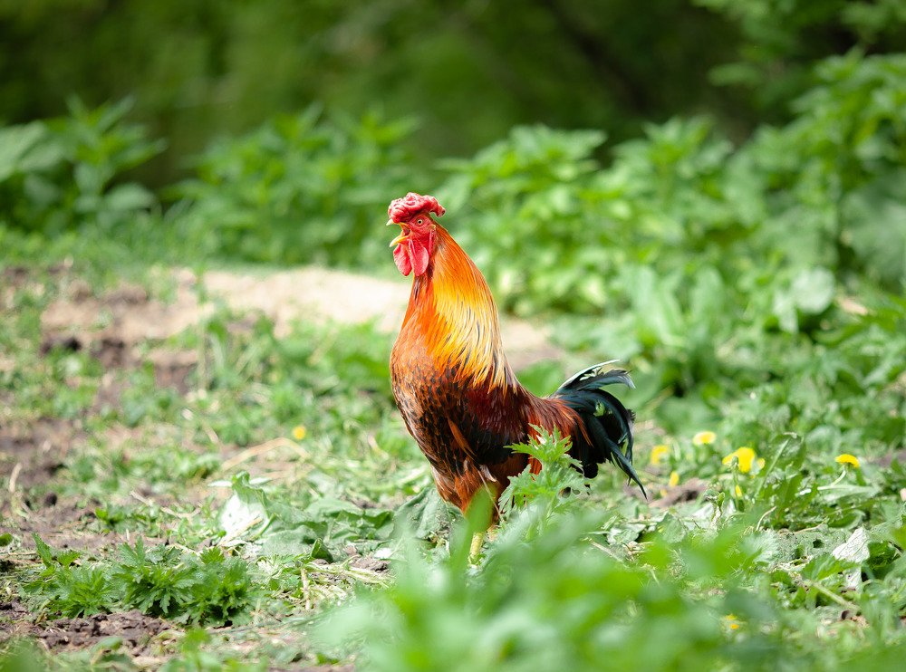 Photograph by Марина Комина