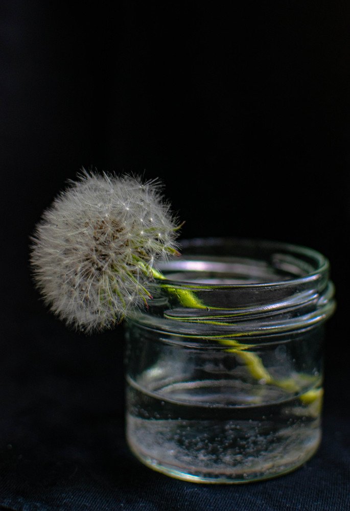 Я - не одинок, я - есть у себя!