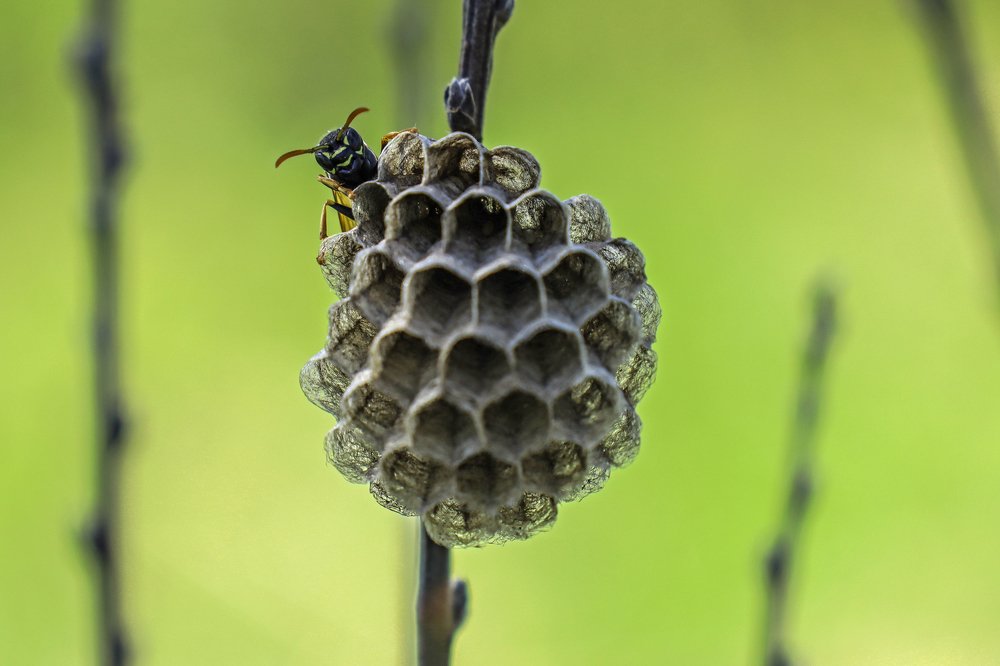 Photograph by Ирина Любимова