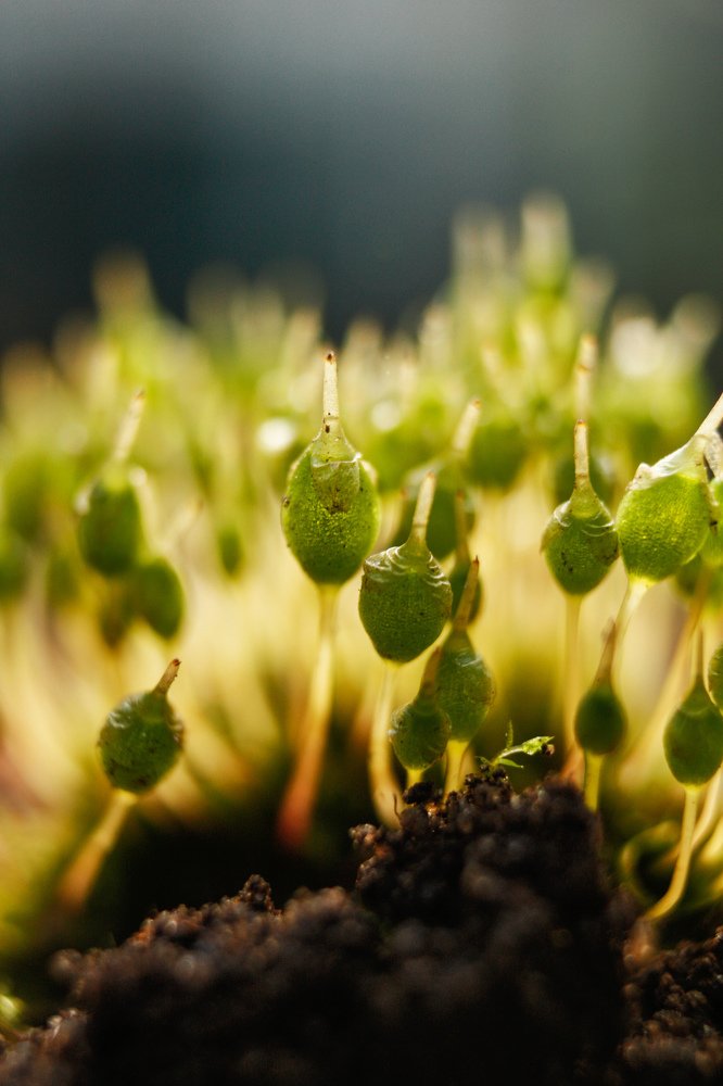 Photograph by Rybakova Alena