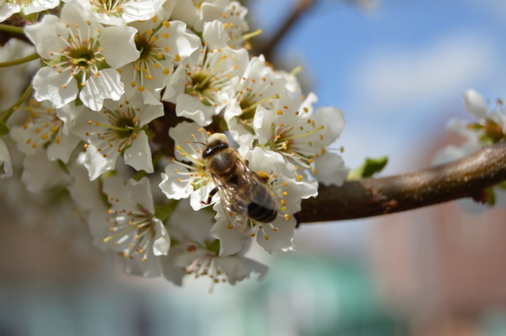 Photograph by Руковицина Ирина